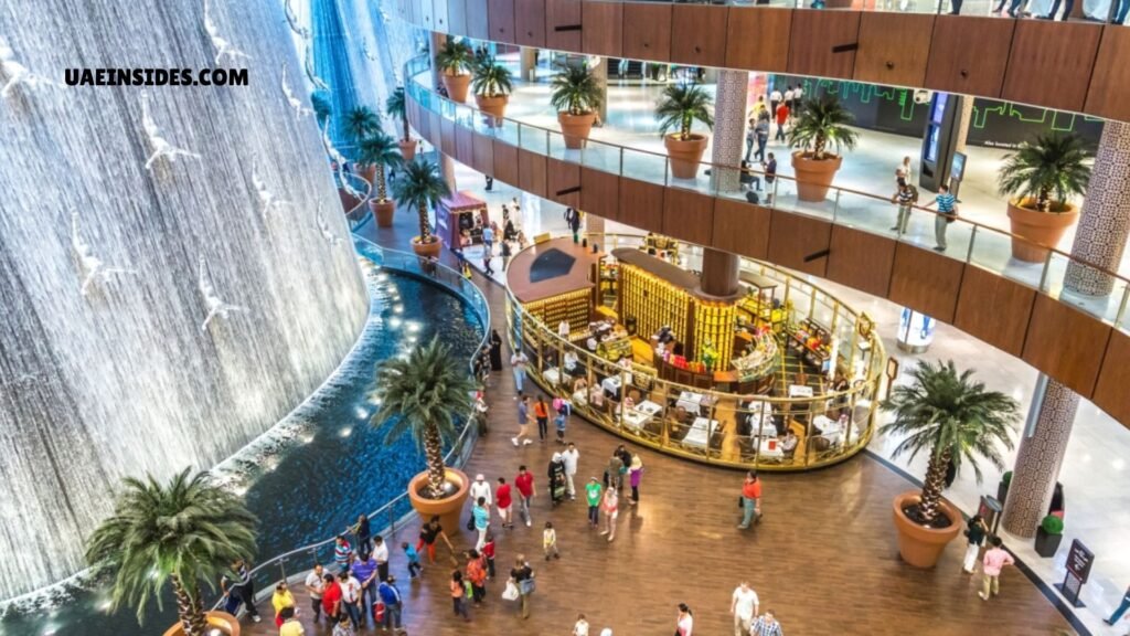 The Dubai Mall A Heaven of Culture and Art